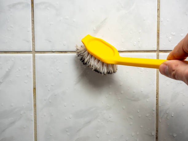 Best Toxic Mold Removal  in Clifton, AZ