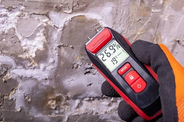 Best Mold Testing  in Clifton, AZ