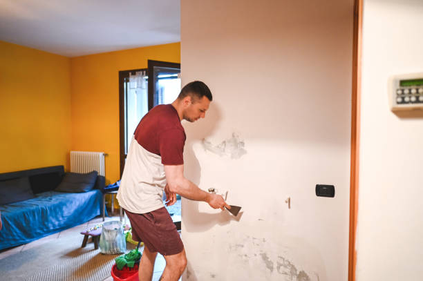 Best Certified Mold Removal  in Clifton, AZ